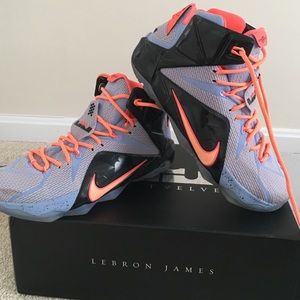Lebron XII