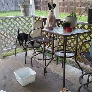 Meet your Posher, Andrea