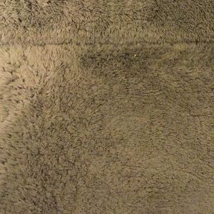 Meet your Posher, Cj