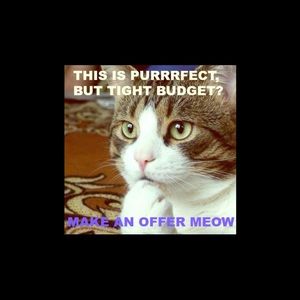 Excepting all reasonable offers