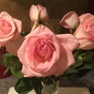 Meet your Posher, Paris