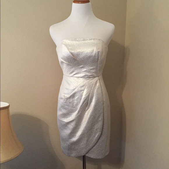 Beautiful Shoshanna Metallic Dress