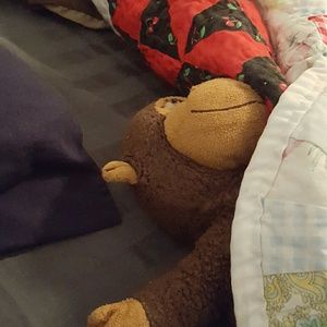 Meet your Posher, Janet