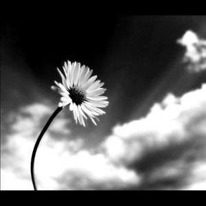 Meet your Posher, Isabella