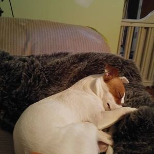 Meet your Posher, Louise