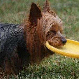 Meet your Posher, Joann