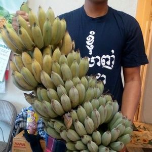 Meet your Posher, Diana