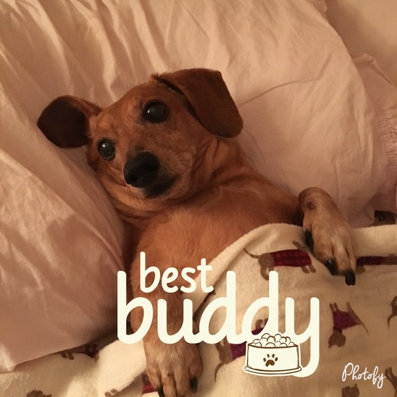 Meet the Posher! - Picture 4 of 4