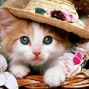 Meet your Posher, Mel