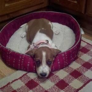 Meet your Posher, Chloe