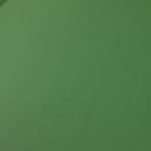 Meet your Posher, Arianny