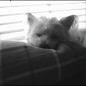 Meet your Posher, Lesley