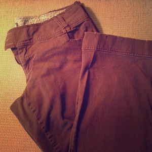 Women's Maurice's Brown Pants