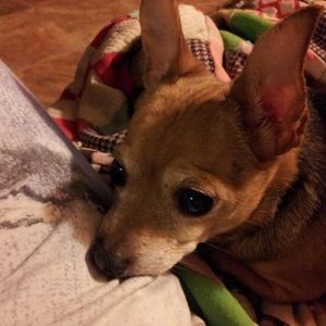 Meet your Posher, April lanham