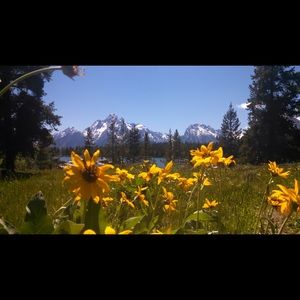 Meet your Posher, Kathy