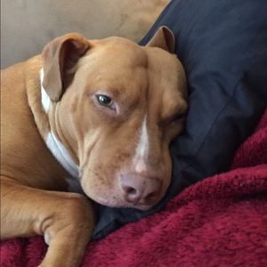 Meet your Posher, Lori