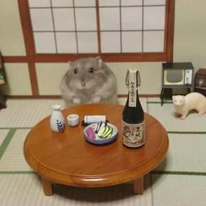 Meet your Posher, Karyn