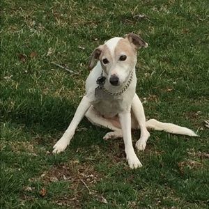 Meet your Posher, Kathy