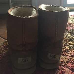 Short Chesnut uggs