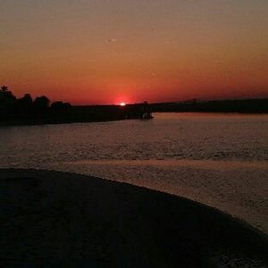 Meet your Posher, Sally