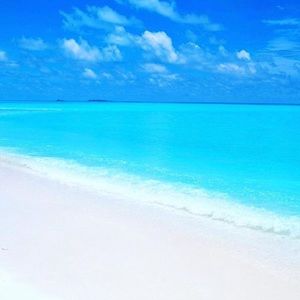 Meet your Posher, Rock