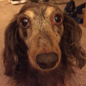 Meet your Posher, Kris