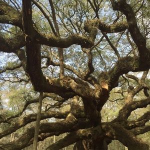 Meet your Posher, Elena