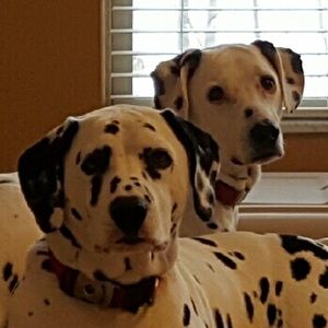 Meet your Posher, Sharon