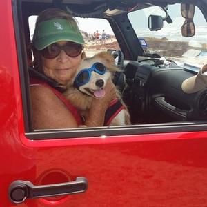 Meet your Posher, Barbara