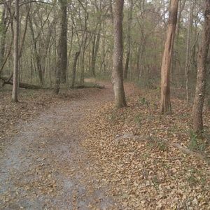 Meet your Posher, Ashlie