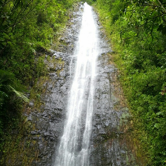 Meet your Posher, May - Picture 1 of 1