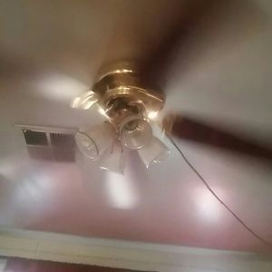 Meet your Posher, Elena