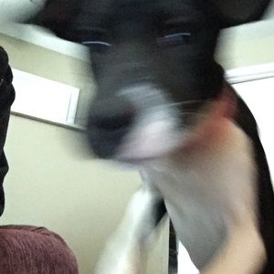 Meet your Posher, Lea