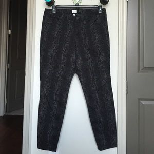 Style & Company from Macy's skinny pants