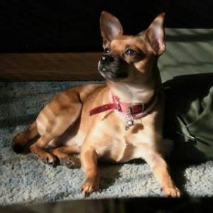 Meet your Posher, Akiko