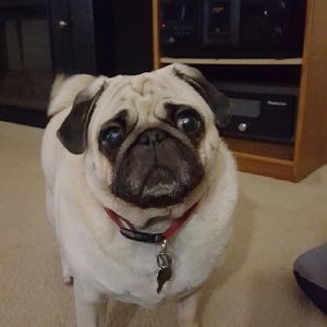 Meet your Posher, Cheryl