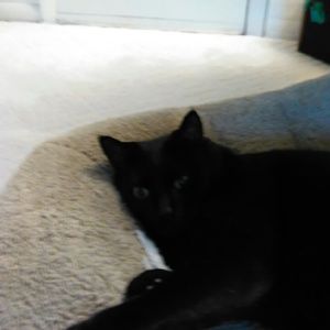 Meet your Posher, Michele