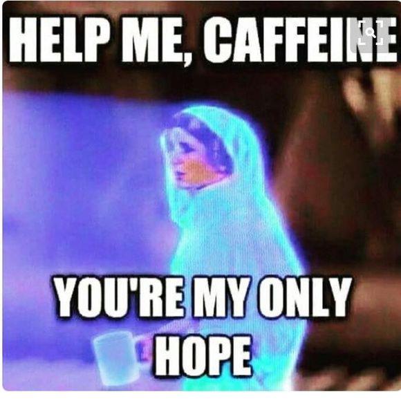 Meet your Posher, Kandy - Picture 1 of 1