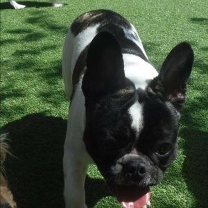 Meet your Posher, Jane