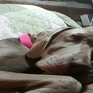 Meet your Posher, Jill