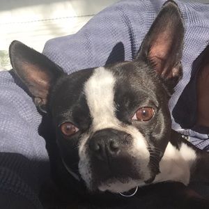 Meet your Posher, Lillian