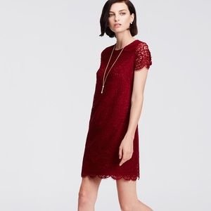 Ann Taylor Dresses - Ann Taylor lace shift Ann Taylor Dresses - Ann Taylor lace shift