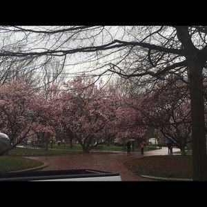 Meet your Posher, Monique