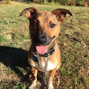 Meet your Posher, Amy