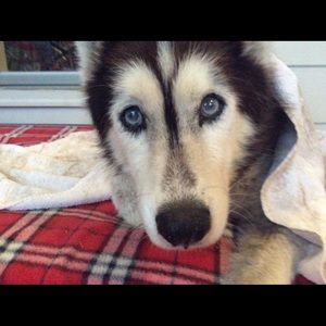 Meet your Posher, Ashlan