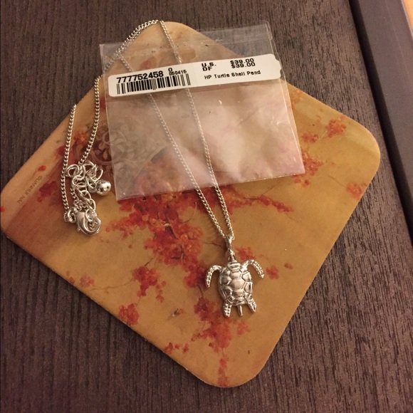 Silver tortoise pendant and chain