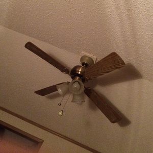 Meet your Posher, Shawna