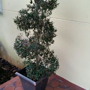 Meet your Posher, Berta