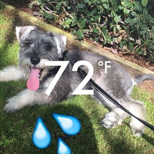 Meet your Posher, Jenn