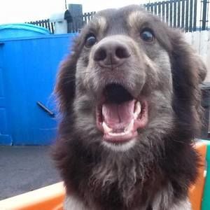 Meet your Posher, K fiona